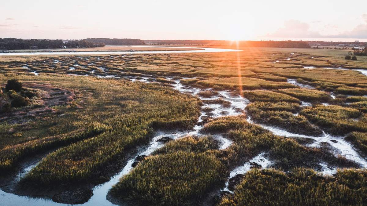 Tidal marsh and creeks surrounding Skidaway Island at sunset
