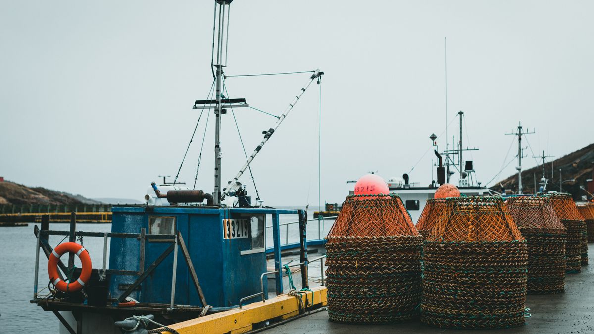 Shrimp boat and stacked crab pots tied up at a working river dock