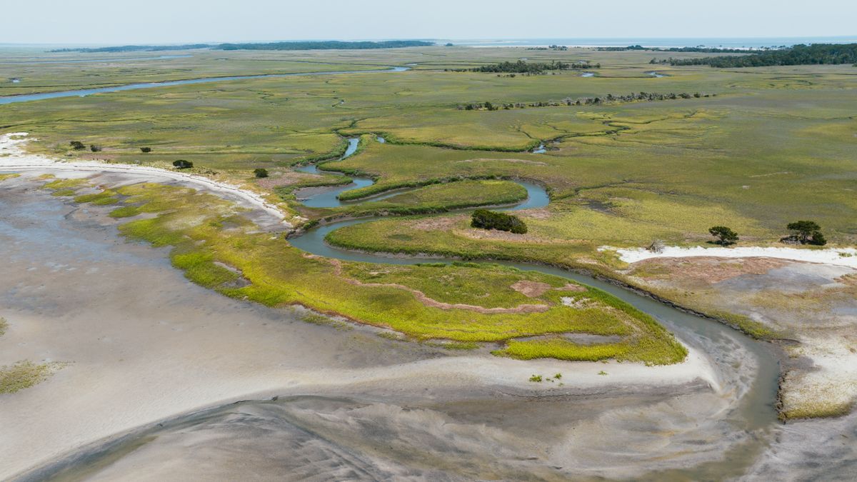 Tidal creeks cutting through Lowcountry salt marsh, the ground and water table Savannah homes sit on